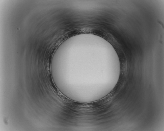 X0000099530553200805160728