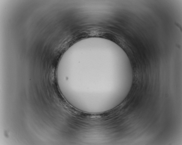 X0000099530554200805160728