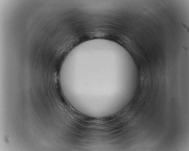 X0000099530555200805160728