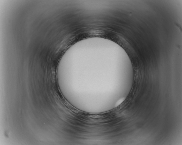 X0000099530557200805160728