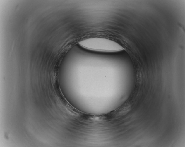 X0000099530558200805160728