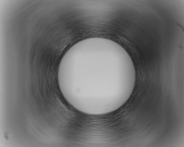 X0000099530560200805160728