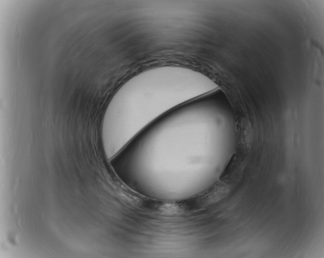X0000099530562200805160728