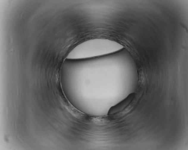 X0000099530568200805160728