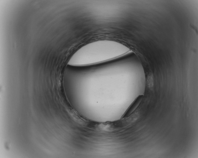 X0000099530570200805160728