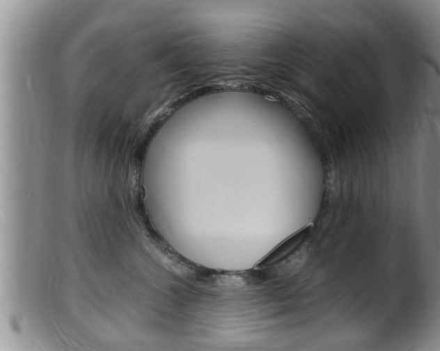 X0000099530572200805160728