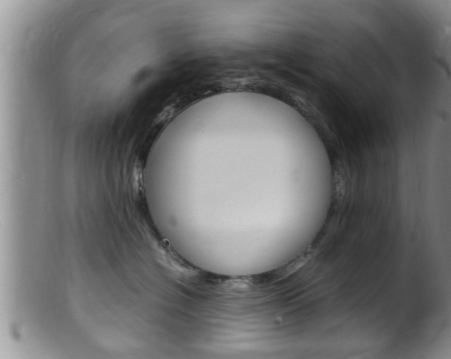 X0000099530574200805160728