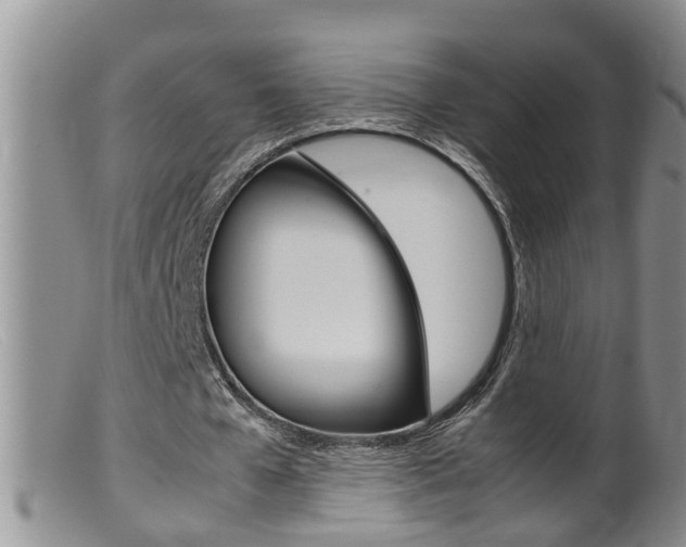 X0000099530577200805160727
