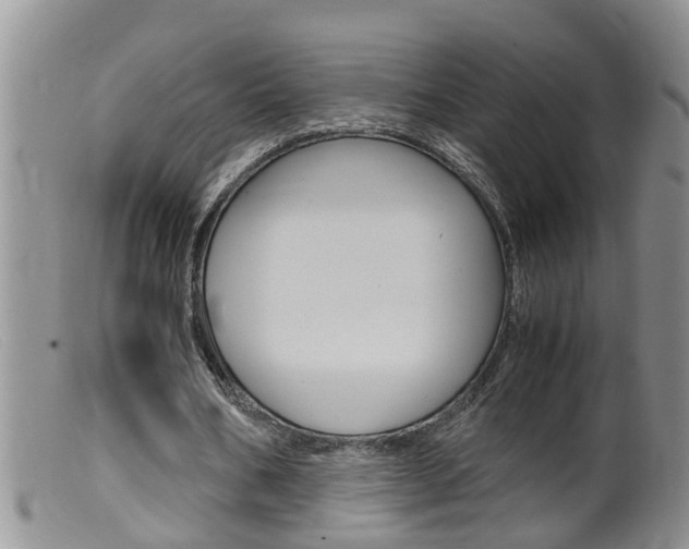 X0000099530578200805160727