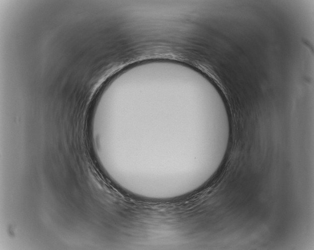 X0000099530579200805160727