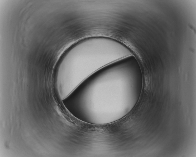 X0000099530580200805160727
