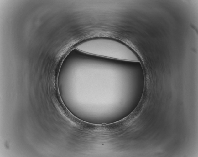 X0000099530581200805160727