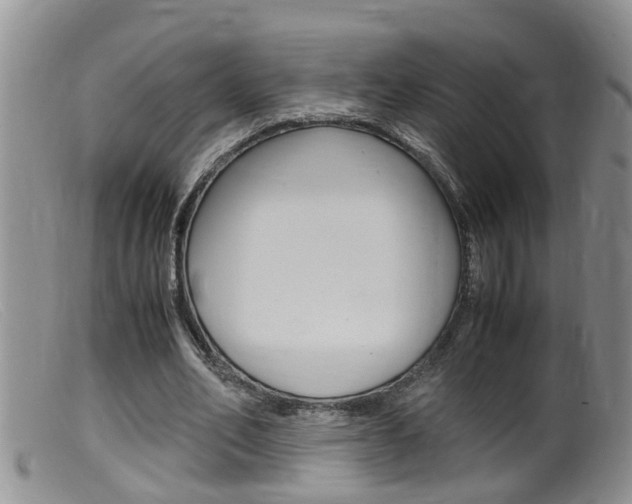 X0000099530582200805160727