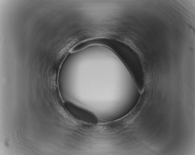 X0000099530585200805160727