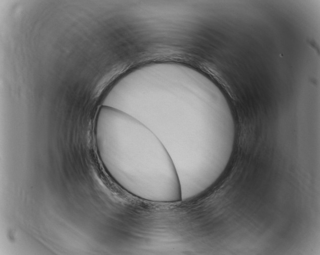 X0000099530586200805160727