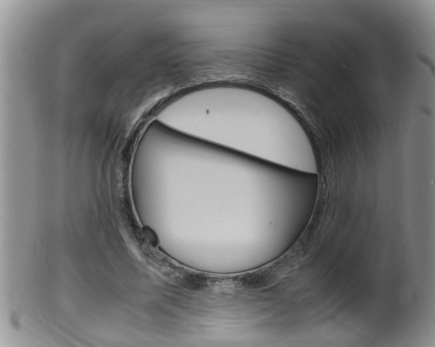 X0000099530587200805160727