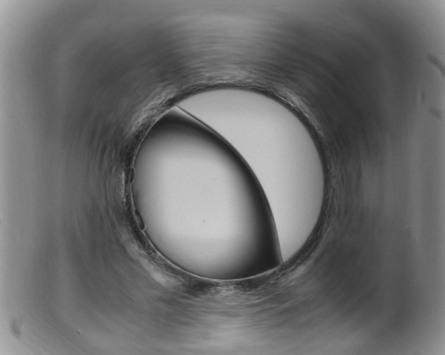 X0000099530589200805160727
