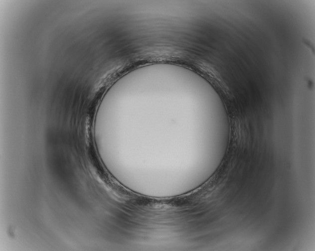 X0000099530590200805160727