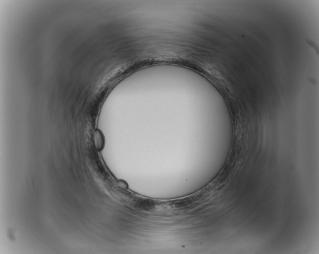 X0000099530591200805160727