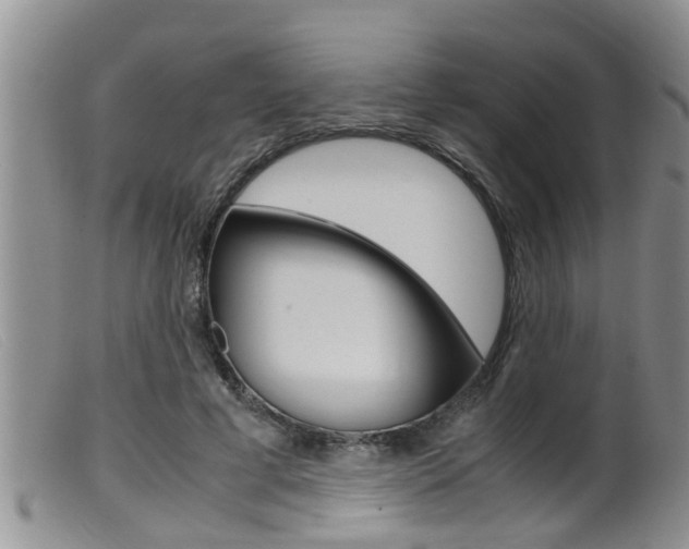 X0000099530593200805160727