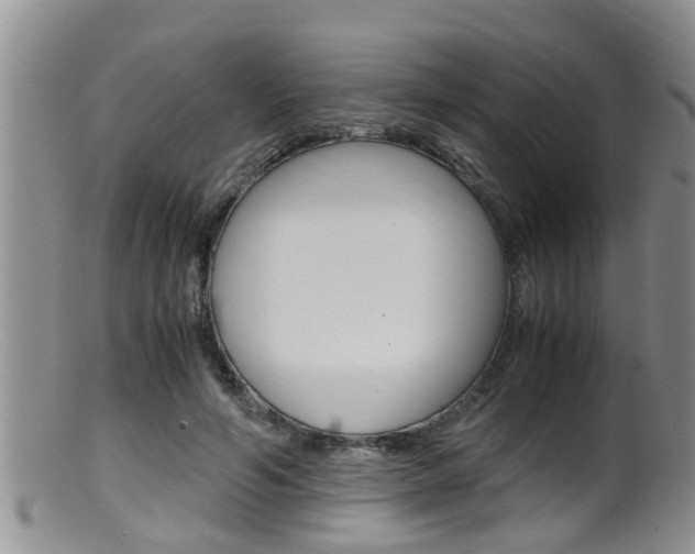 X0000099530594200805160727