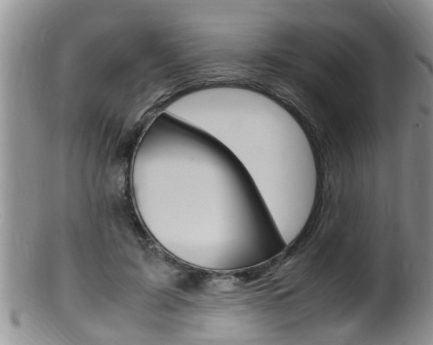 X0000099530595200805160727
