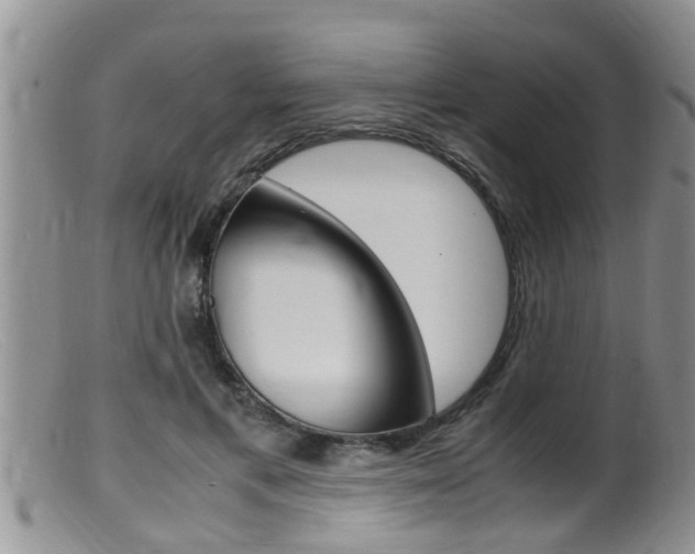 X0000099530597200805160727