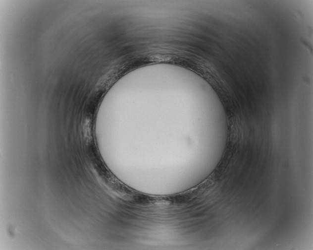 X0000099530598200805160727
