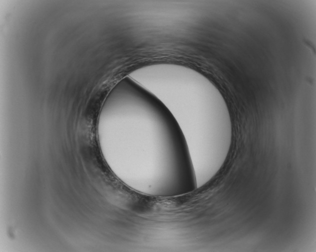 X0000099530599200805160727