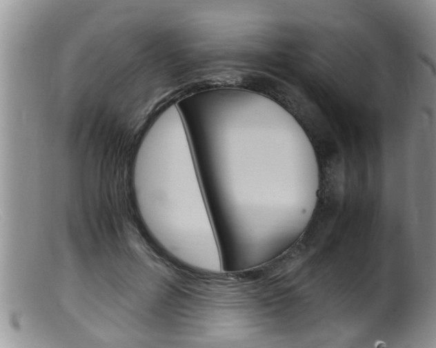 X0000099530600200805160727