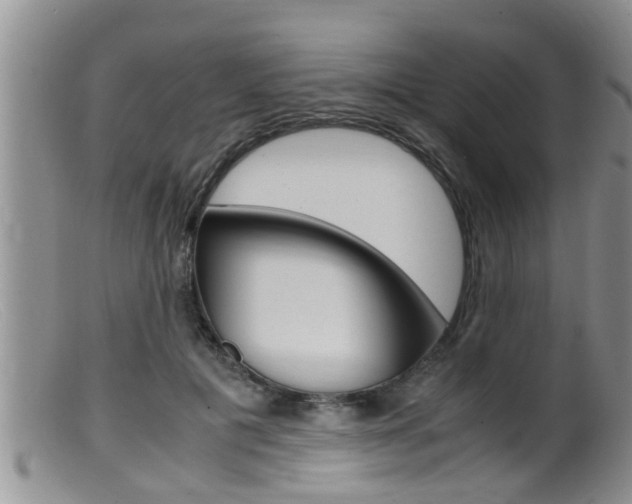X0000099530601200805160727