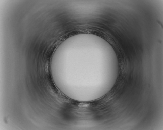 X0000099530602200805160727