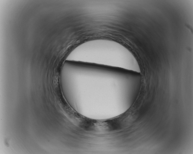 X0000099530603200805160727