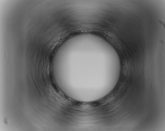 X0000099530604200805160727