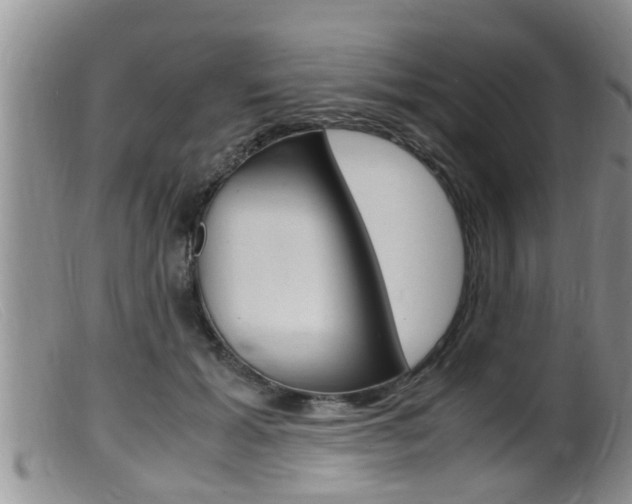 X0000099530605200805160727