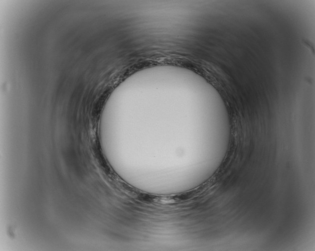 X0000099530607200805160727