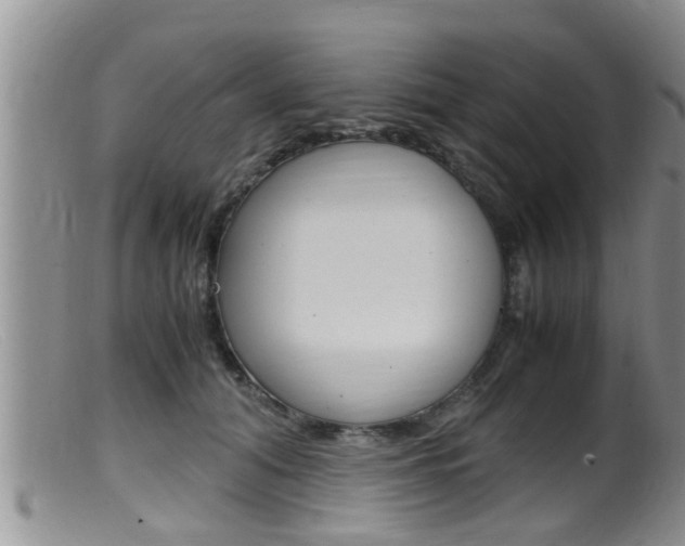 X0000099530608200805160727