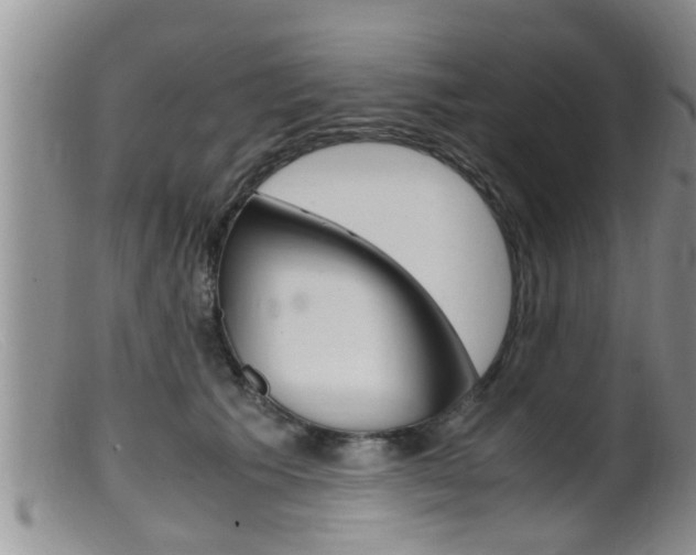 X0000099530609200805160727