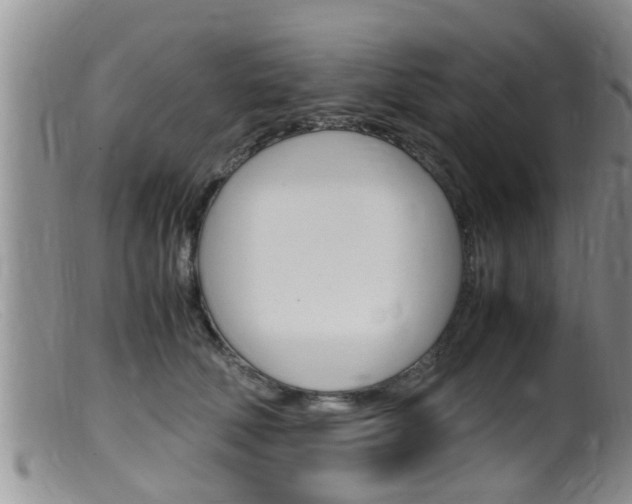 X0000099530610200805160727