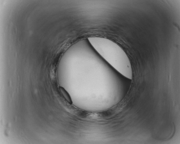 X0000099530611200805160727