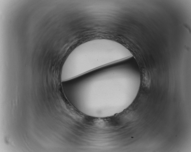 X0000099530616200805160727