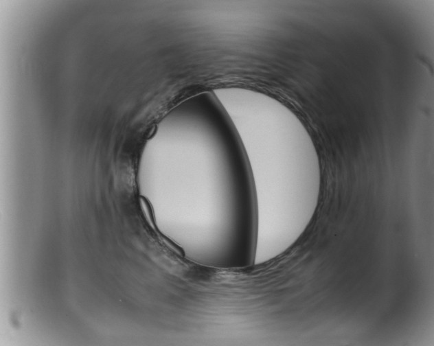X0000099530617200805160727