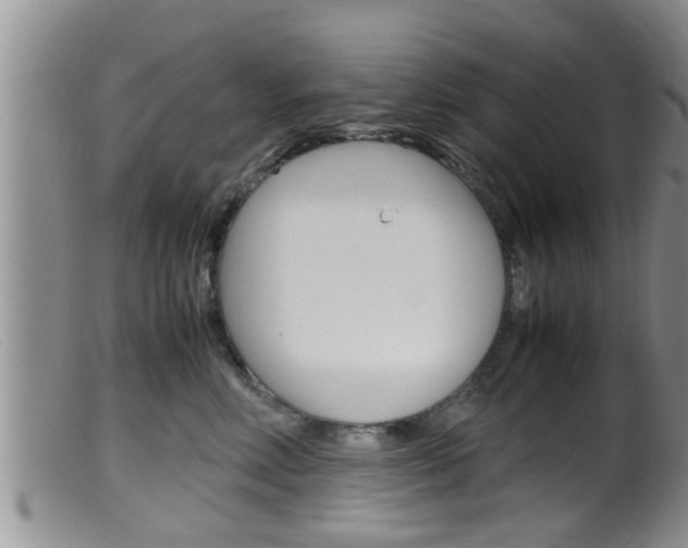 X0000099530618200805160727