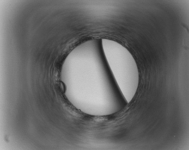 X0000099530619200805160727