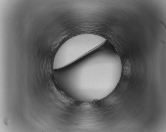 X0000099530620200805160727