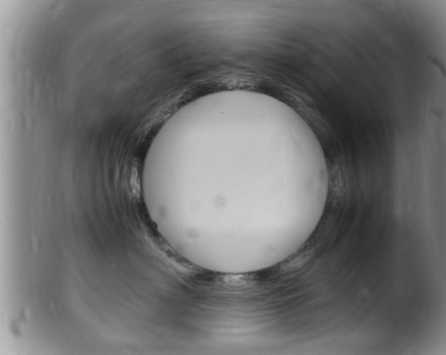 X0000099530622200805160727