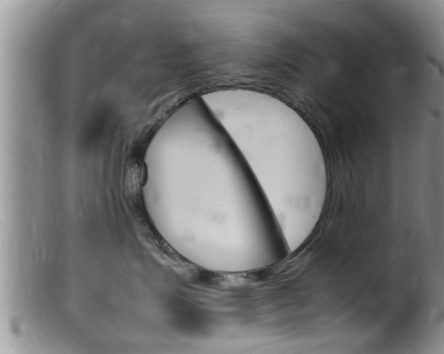 X0000099530623200805160727