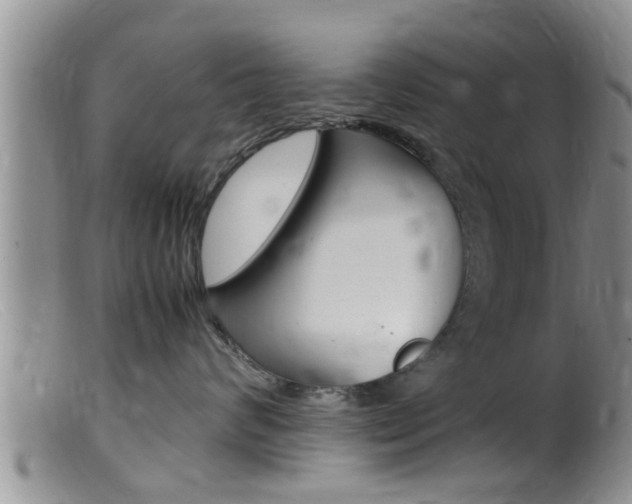 X0000099530624200805160727