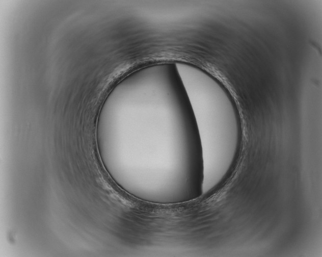 X0000099530625200805160726