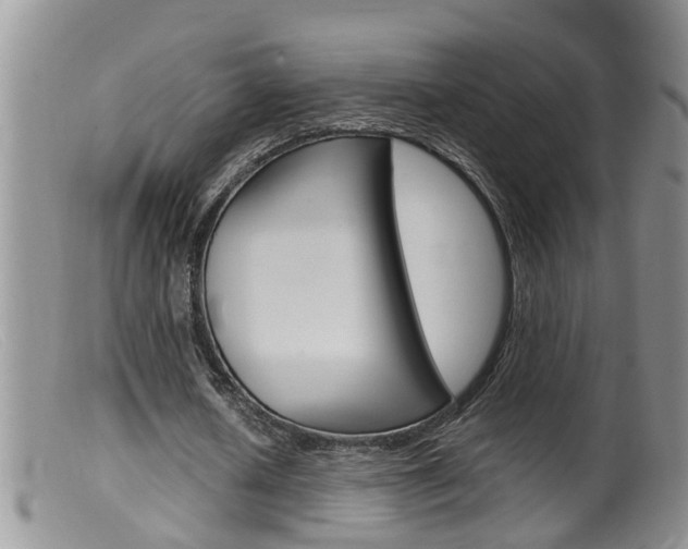 X0000099530626200805160726